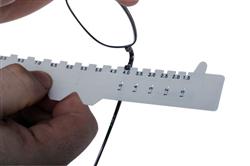 Multi-Function PD Ruler